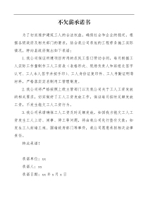 公司负责人不欠薪承诺书范文集团公司企业