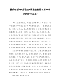 模式创新产业联动精准扶贫驻村第一书记们的三农经