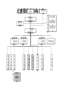 过渡期组织结构方案