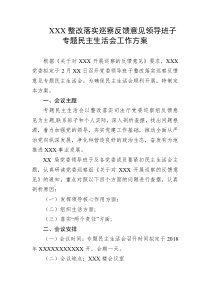 XXX整改落实巡察反馈意见领导班子专题民主生活会工作方案