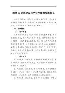 加快5G系统建设与产业发展的实施意见