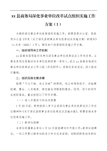 实施方案3篇事业单位改革试点组织实施工作方案范文