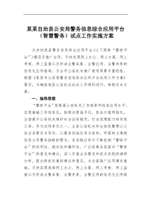 某自治县公安局警务信息综合应用平台智慧警务试点工作实施方案