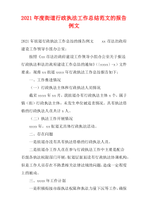 街道行政执法2021年度工作总结范文的报告例文