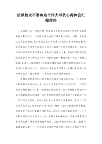 防汛救灾不辜负这个伟大时代心得体会汇报材料