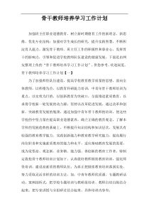 骨干教师培养学习工作计划