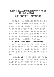 县委办公室主任参加县委理论学习中心组集中学习心得体会当好践行者倾力抓落实