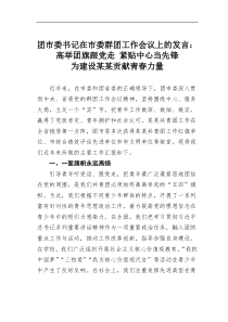 团市委书记在市委群团工作会议上的发言高举团旗跟党走紧贴中心当先锋为建设某某贡献青春力量