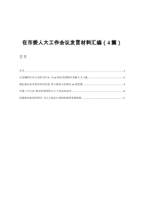 在市委人大工作会议发言材料汇编4篇