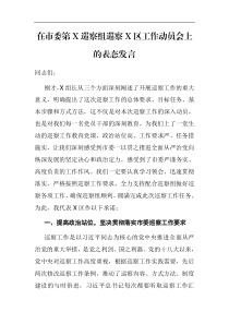 在市委第X巡察组巡察X区工作动员会上的表态发言