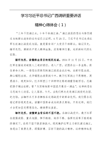 心得体会学习习近平总书记广西调研重要讲话精神心得体会3篇