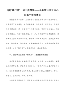 心得体会当好践行者倾力抓落实县政府办公室主任在县委理论学习中心组集中学习会上的体会发言