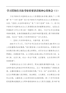 心得发言8篇学习贯彻总书记在青海考察时重要讲话精神心得体会研讨发言材料