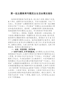 总结汇报第一批主题教育专题民主生活会情况报告