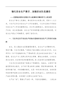 研讨发言区委组织部长在理论中心组第四次集体学习上的发言安全生产