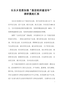 长乐乡党委加强基层组织建设年调研摸底汇报