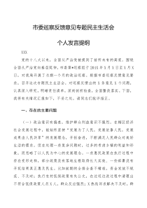 巡察整改专题民主生活会发言提纲