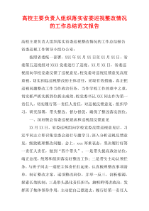 高校主要负责人组织落实省委巡视整改情况的工作总结范文报告