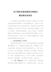 关于落实县委巡察组反馈意见整改情况的报告