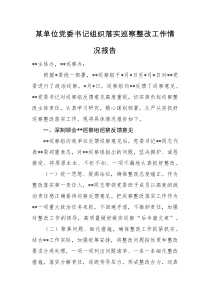 某单位党委书记组织落实巡察整改工作情况报告