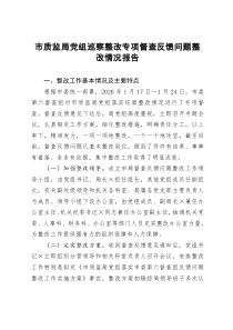 市质监局党组巡察整改专项督查反馈问题整改情况报告