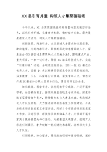 XX县引育并重构筑人才集聚强磁场