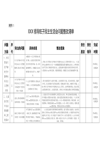 XXX领导班子民主生活会问题整改清单