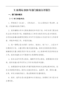 X水利局2020年部门绩效自评报告