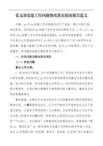 党建问题整改报告党支部党建工作问题整改落实情况报告范文工作总结