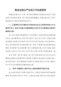 推进全面从严治党工作自查报告