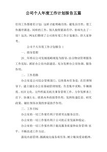 公司个人年度工作计划报告五篇