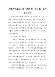 某镇巡察发现突出问题整改回头看工作情况汇报