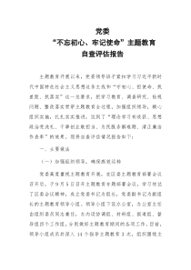 党委不忘初心牢记使命主题教育自查评估报告