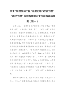 关于景观亮化工程过度化等政绩工程面子工程问题专项整治工作自查评估报告篇一