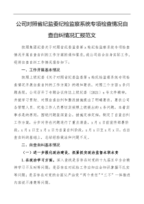 公司对照省纪监委纪检监察系统专项检查情况自查自纠情况汇报集团公司企业纪委工作总结报告