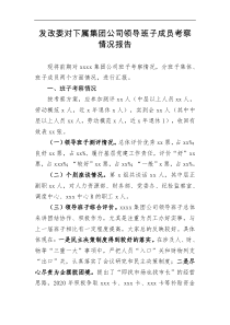 发改委对下属集团公司领导班子成员考察情况报告