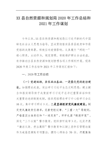 XX县自然资源和规划局202x年工作总结和2021年工作谋划