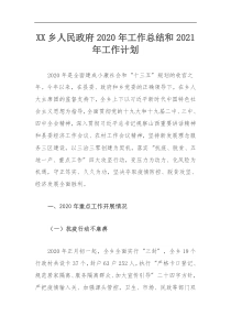 XX乡人民政府202x年工作总结和2021年工作计划