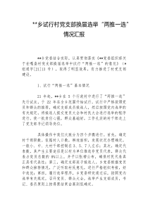 XX乡试行村党支部换届选举两推一选情况汇报