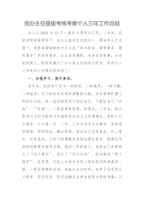 党办主任提拔考核考察个人三年工作总结