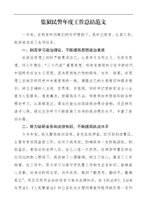 个人总结监狱民警年度工作总结范文看守所干警警察个人工作总结述职报告