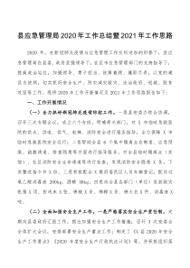 计划县应急管理局202x年工作总结暨2021年工作思路