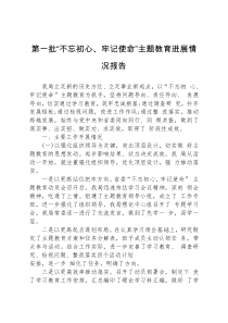 第一批不忘初心牢记使命主题教育进展情况报告