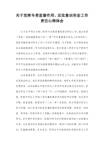 关于发挥专责监督作用压实意识形态工作责任心得体会