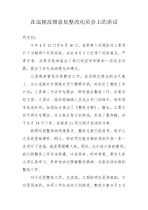 在巡视反馈意见整改动员会上的讲话