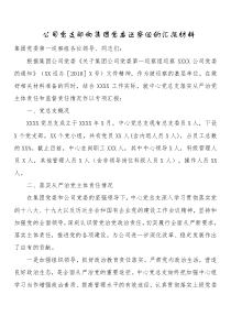 公司党支部向集团党委巡察组的汇报材料