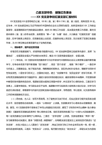 XX党支部争创红旗支部汇报材料