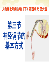 七年级生物下册63神经调节的基本方式课件人教新课标版