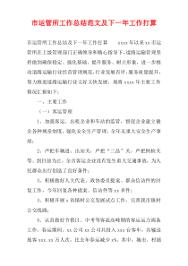 市运管所工作总结范文及下一年工作计划