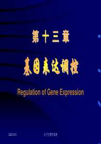 分子生物学原理基因表达调控